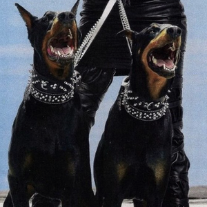 网站污黄操逼wwwwwwww
