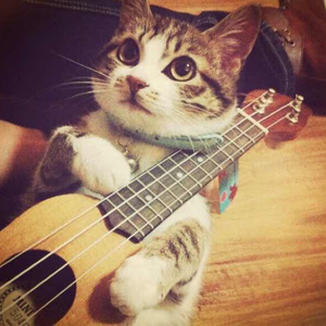 网站污黄操逼wwwwwwww
